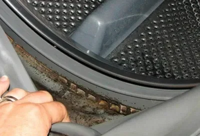Why Washing Machine Hygiene Matters More Than You Think